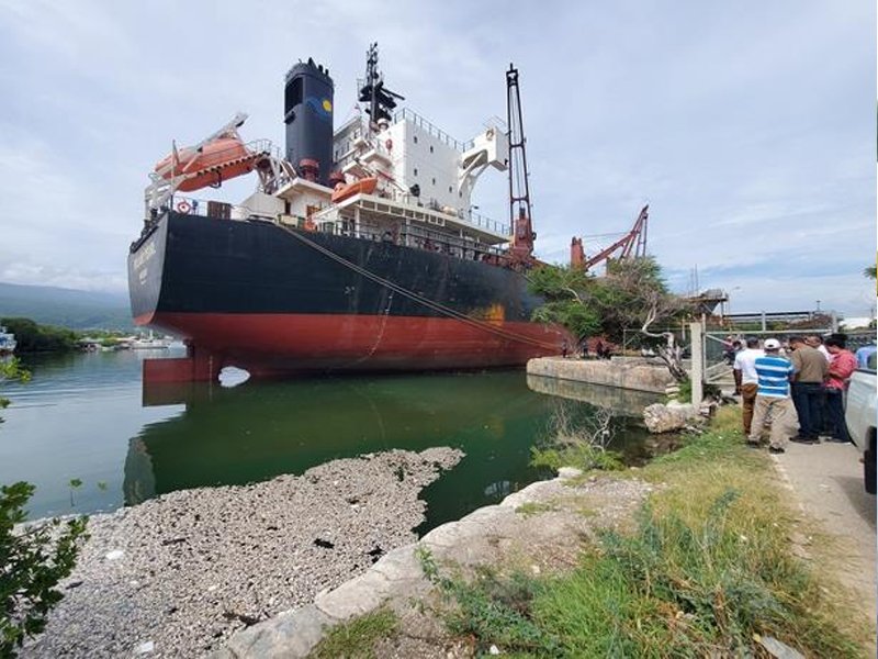 Falta de oxígeno provocó la muerte de miles de sardinas en Barahona, dice Medio Ambiente