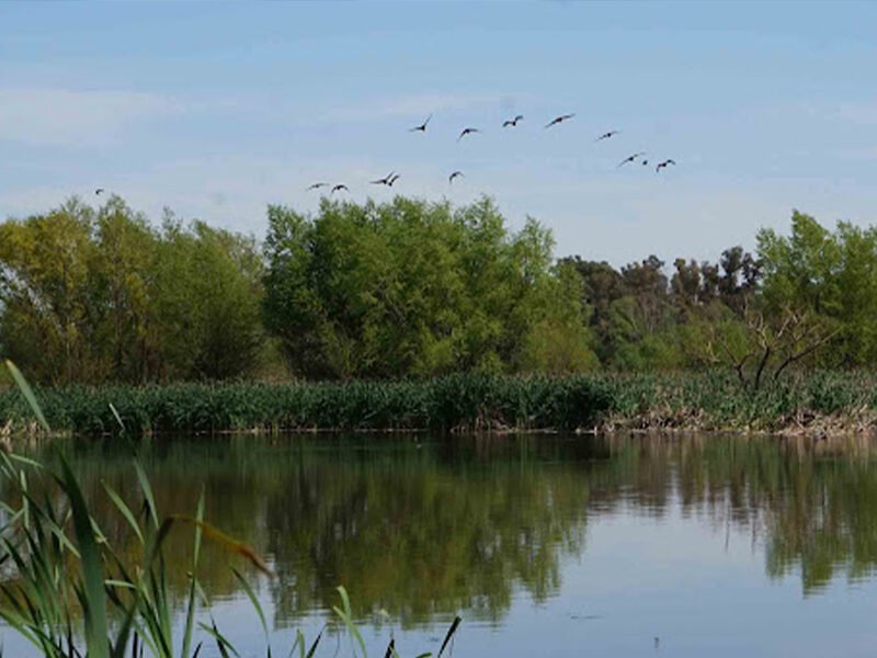 Medio Ambiente anuncia operativo de limpieza en Laguna Campo en Santa Clara y Laguna del sector Villa Cerro