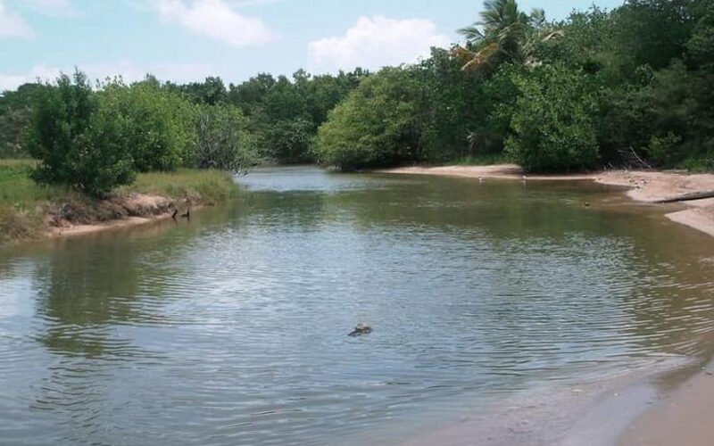 Abinader crea el Refugio de Vida Silvestre Humedales de Laguna Prieta