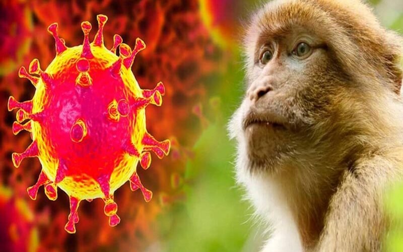 Notifican dos nuevos casos de viruela del mono en RD