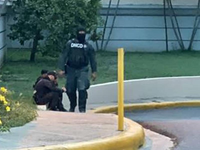 Incautan en Santiago armas de fuego de alto calibre provenientes de Estados Unidos