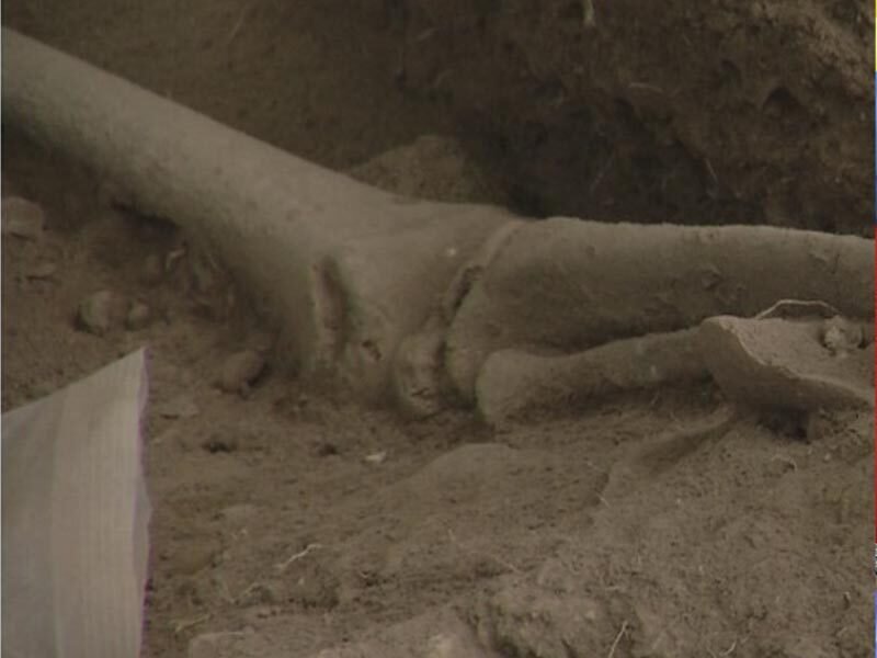 Arqueólogos descubren cementerio de unos 3,000 años en Samaná