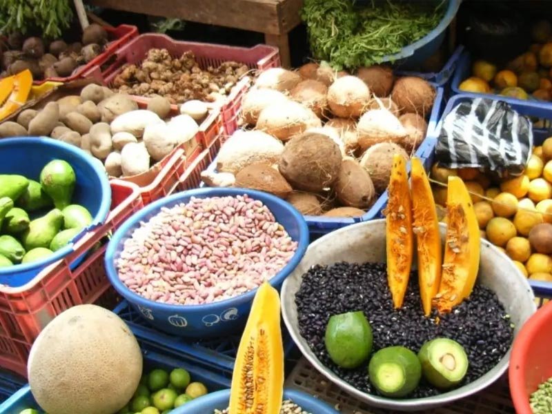 Ministerio de agricultura dice los alimentos han bajado un 40 por ciento