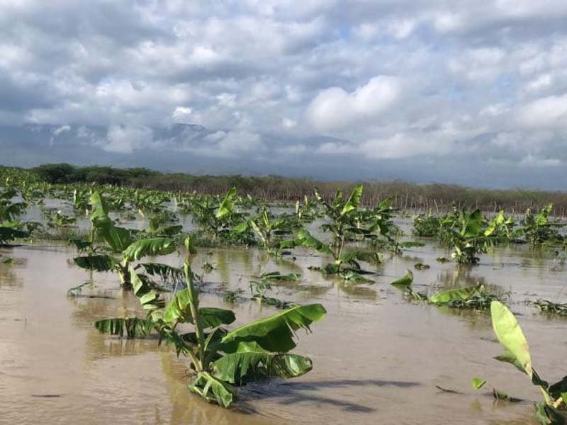 COE reporta dos personas desaparecidas tras inundaciones en el sur