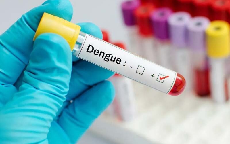 El dengue sigue en aumento; SP registra 5,145 casos en lo que va de año