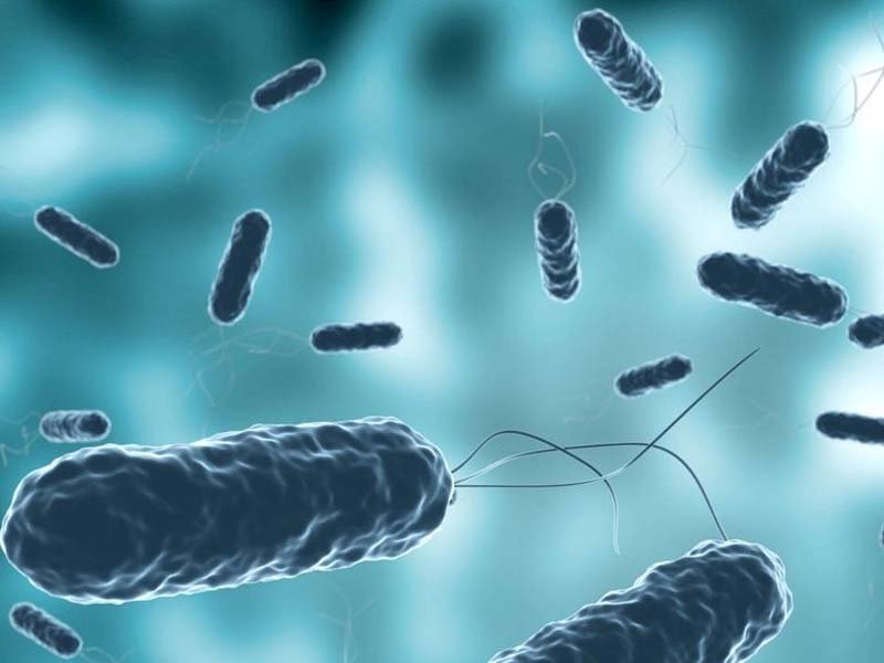 Salud Pública confirma 16 casos de cólera en Barahona