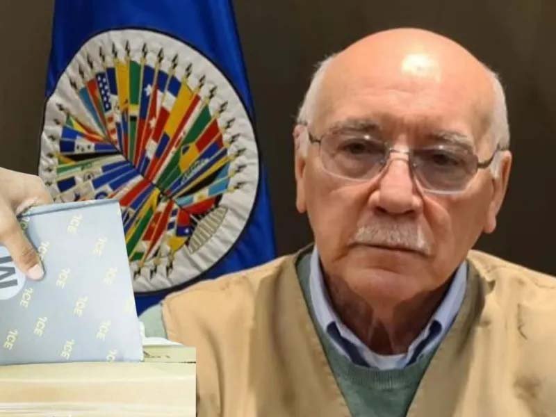 Observadores OEA esperan una jornada cívica y de tolerancia