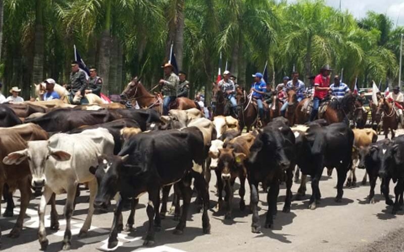 Este miércoles los Toros de la Virgenllegan a la Basílica de Higüey