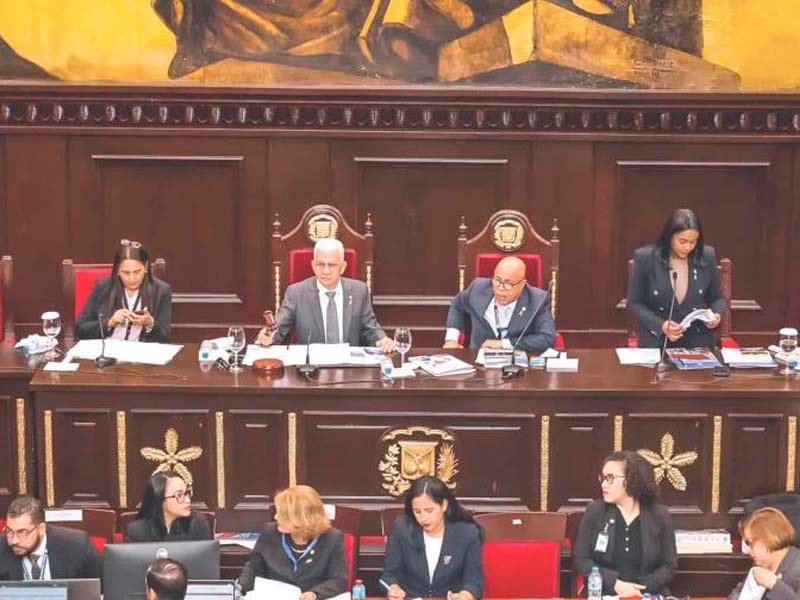 Aprueban reforma constitucional que unifica los comicios y reduce los diputados