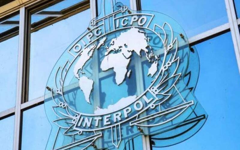 Interpol emite notificación amarilla por desaparición de Sudiksha Konanki